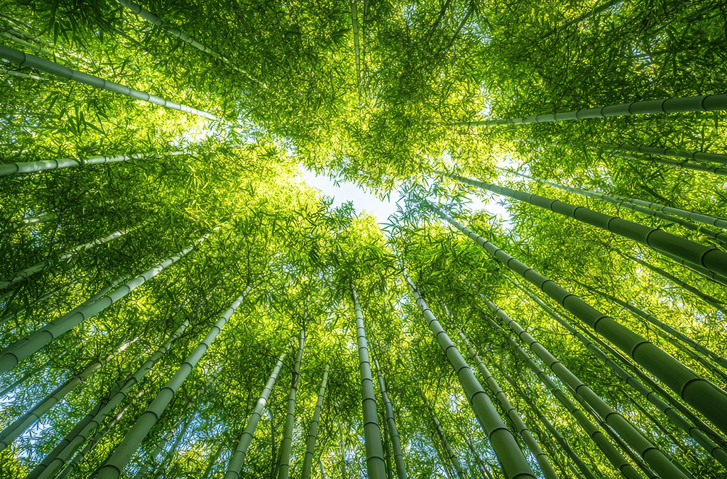 Eco-conscious manufacturing